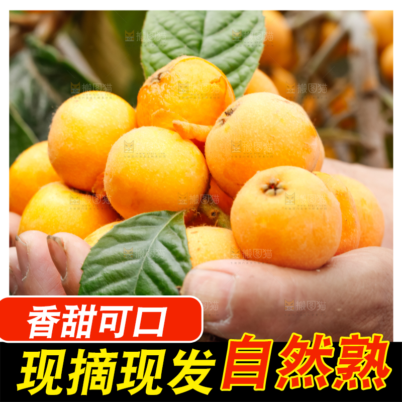 手里捧着新鲜枇杷