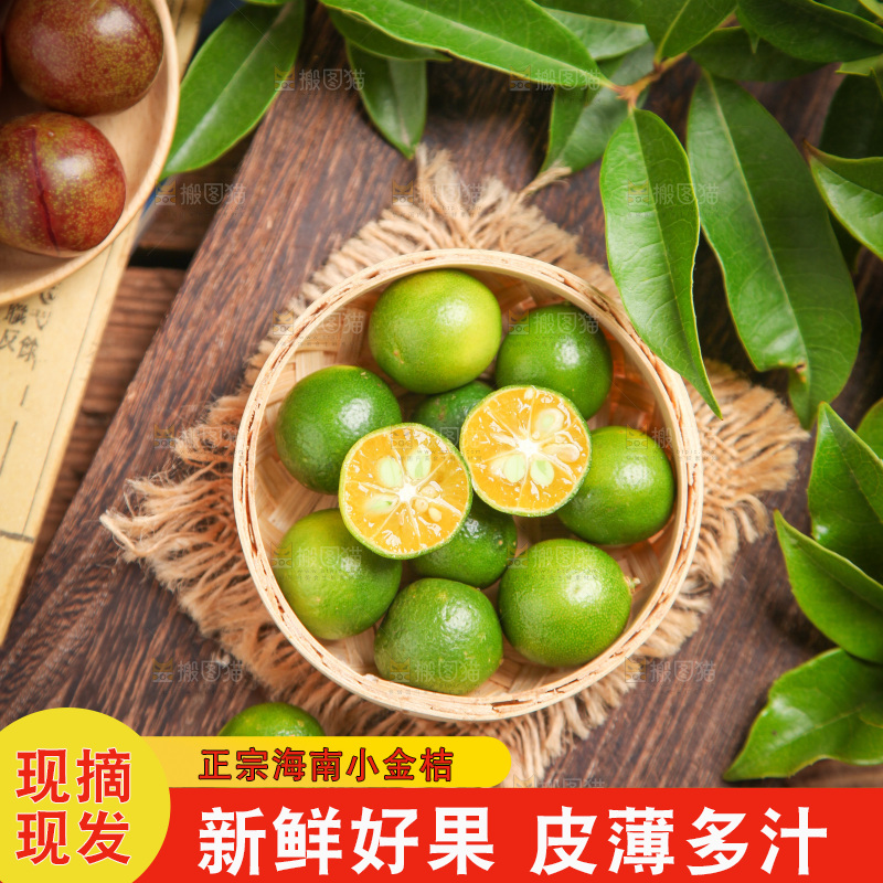篮子里装着新鲜小金桔
