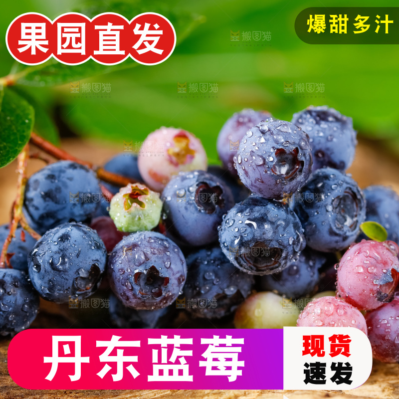 深底上摆放着蓝莓