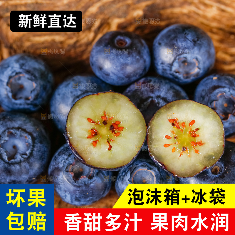 木底上放着山东蓝莓鲜果