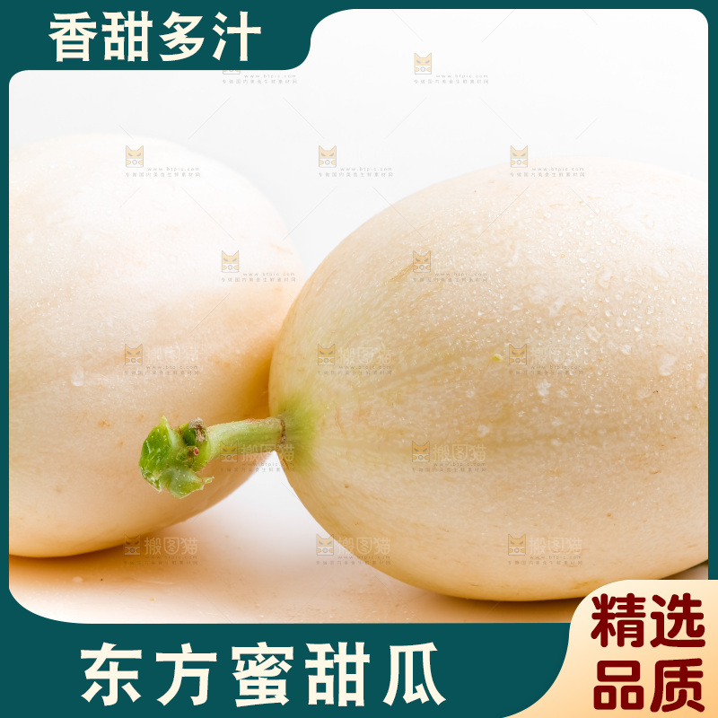 白底上的东方蜜瓜
