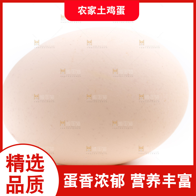 白底上的柴鸡蛋