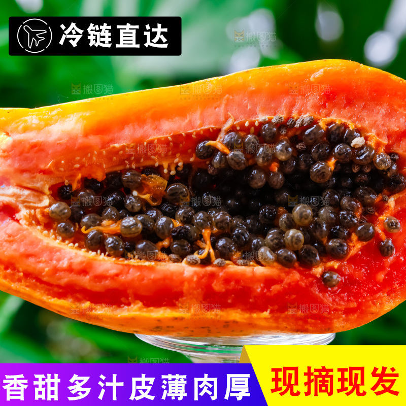 玻璃杯上放着冰糖红心木瓜