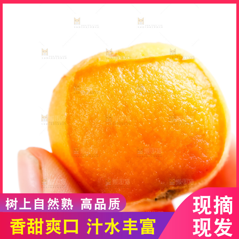 手里拿着枇杷果