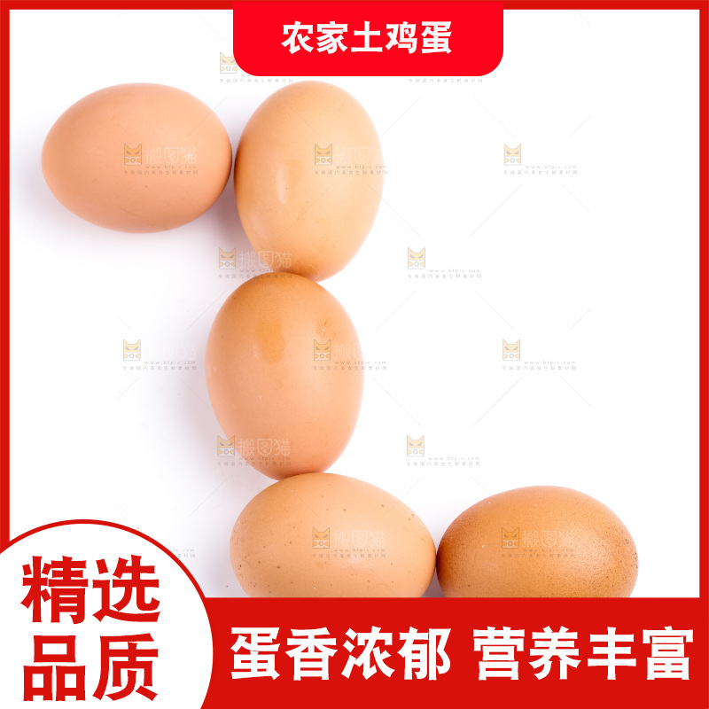 白底上放着散养鸡蛋