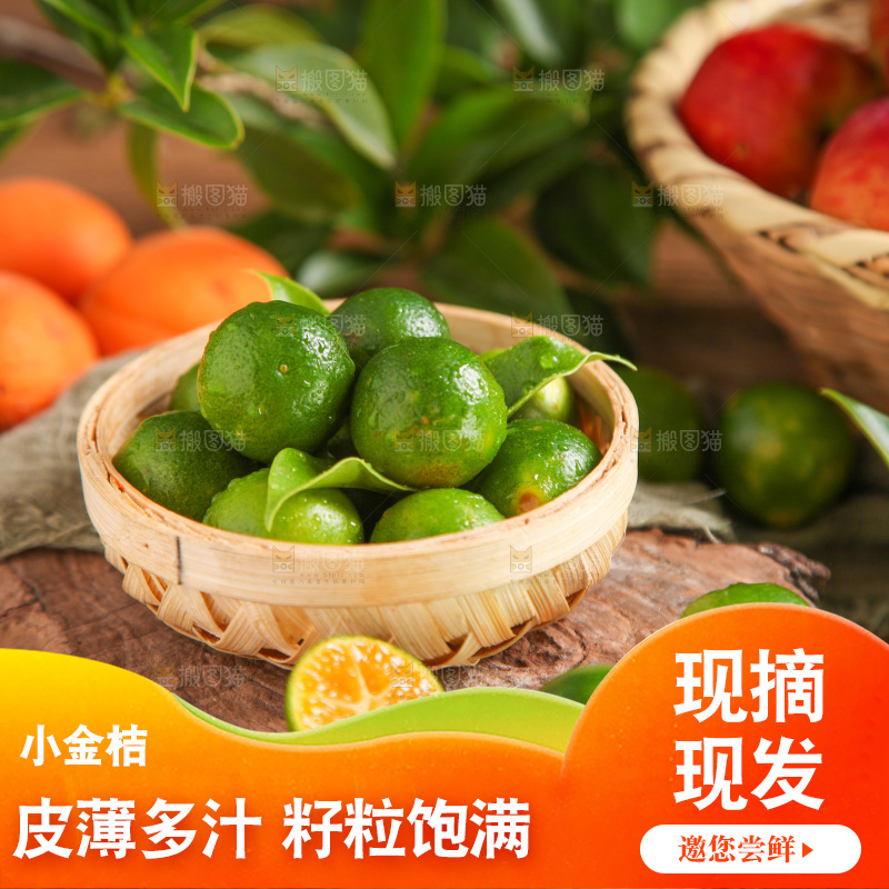 篮子里装着小金桔