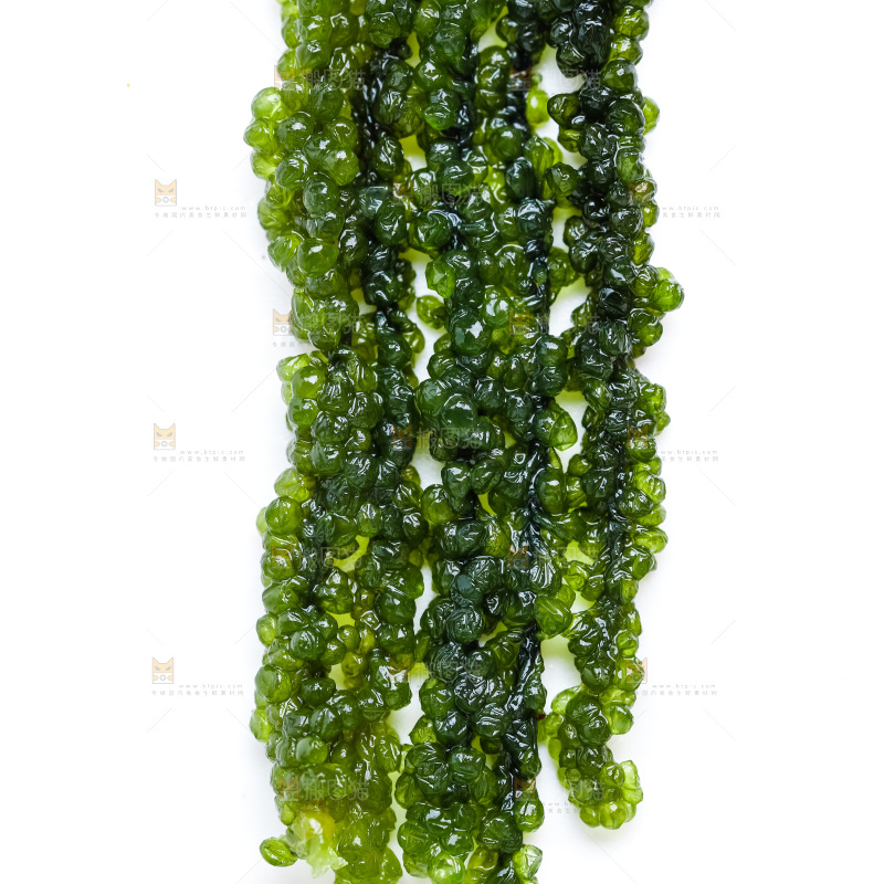 白底上的海葡萄