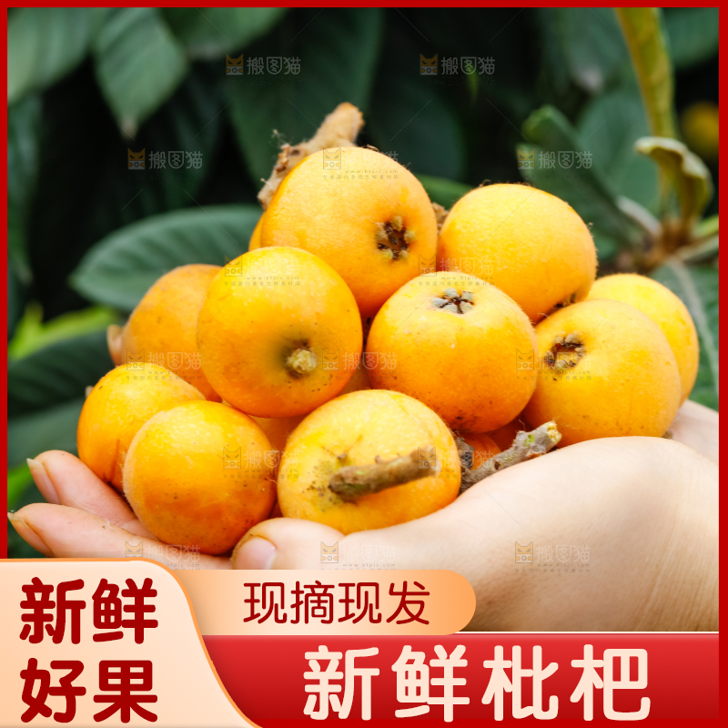 手里捧着新鲜枇杷