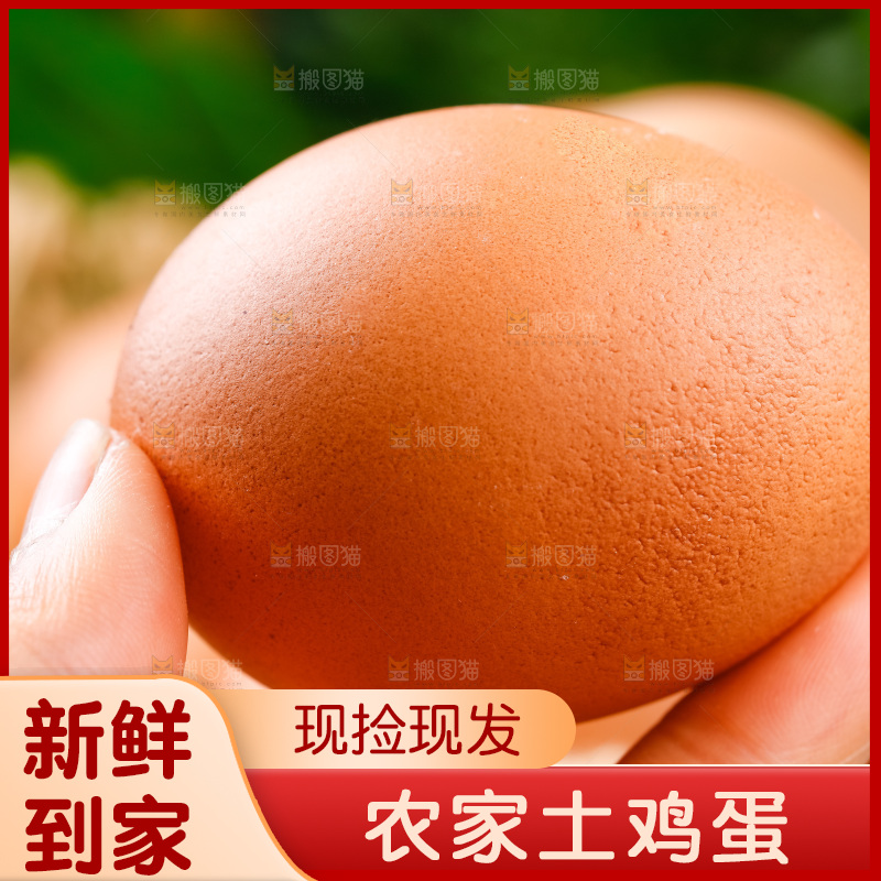 手拿土鸡蛋