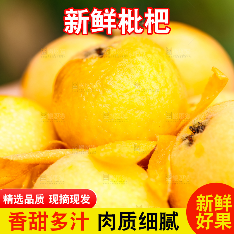 摆放着一堆的枇杷果