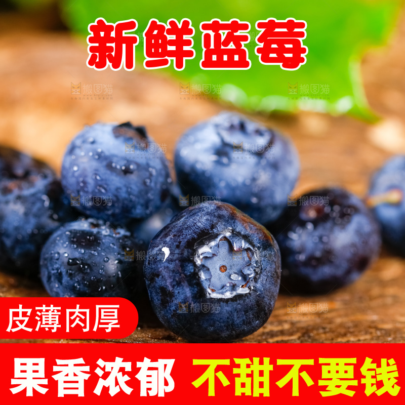 深底上摆放着蓝莓