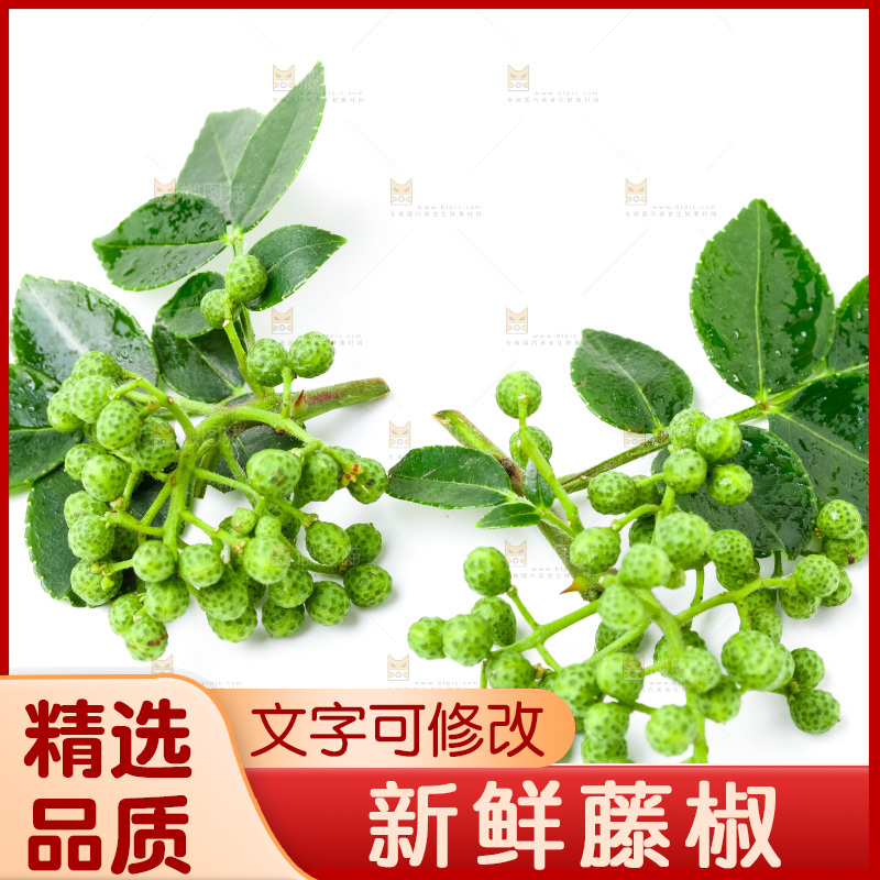 白底上摆放着新鲜藤椒