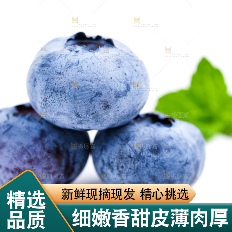 浅底上放着蓝莓果