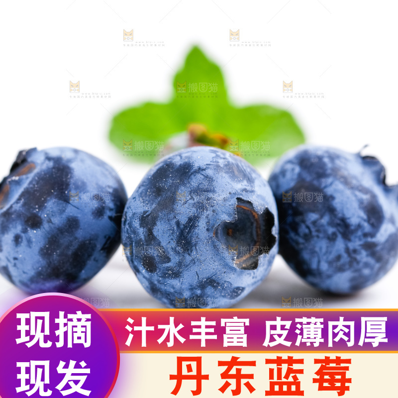 白底上放着新鲜蓝莓