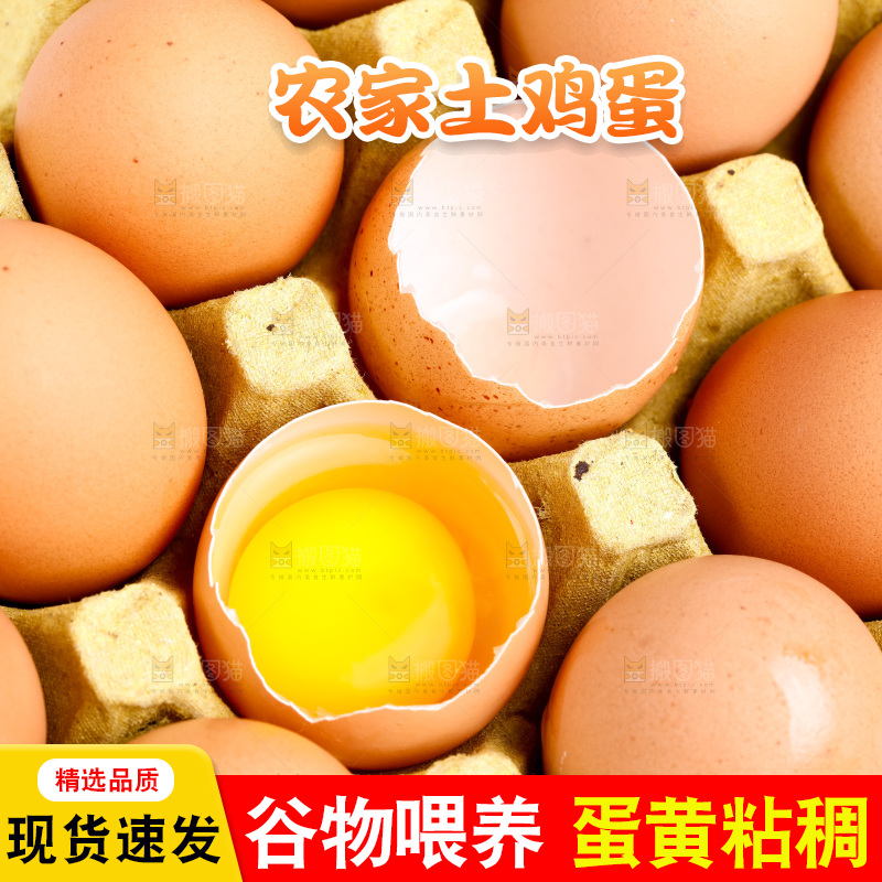 白底上的新鲜鸡蛋