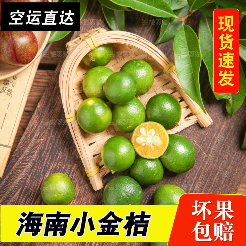 篮子里装着新鲜小金桔