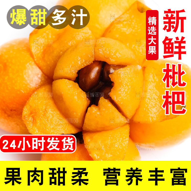 白底上摆放着枇杷果