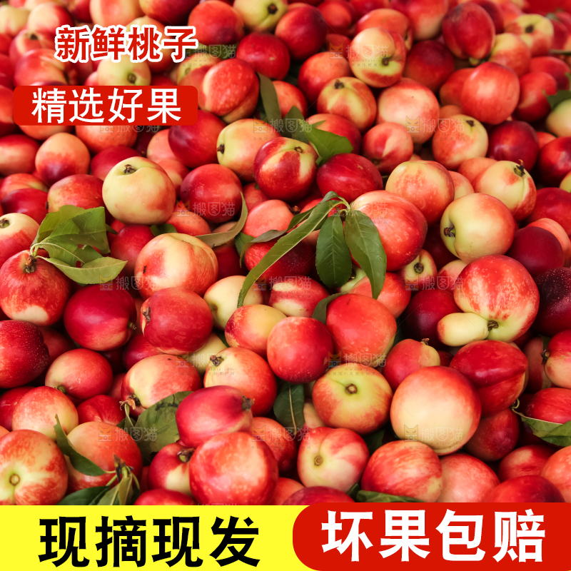 框子里装着油桃