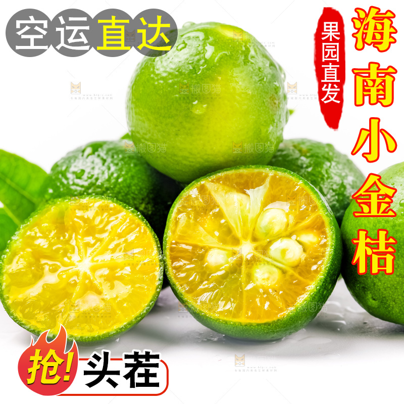 白底上放着小金桔