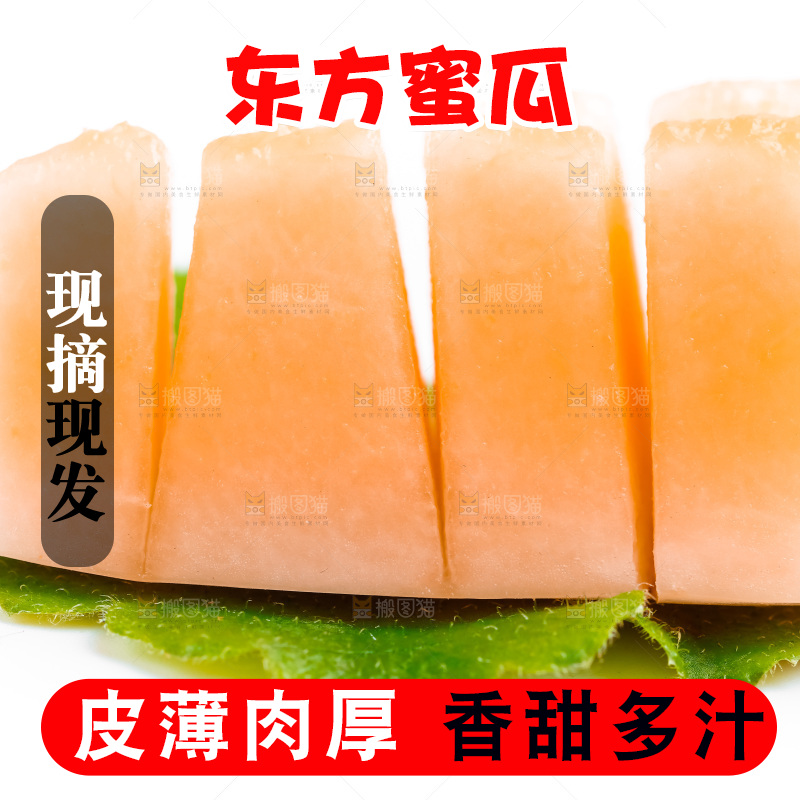 山东东方蜜瓜放在白底上