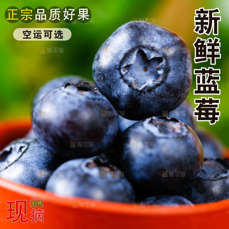 碟子里装着新鲜蓝莓
