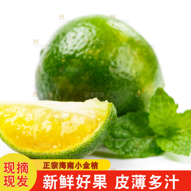 浅底上摆放着小金桔