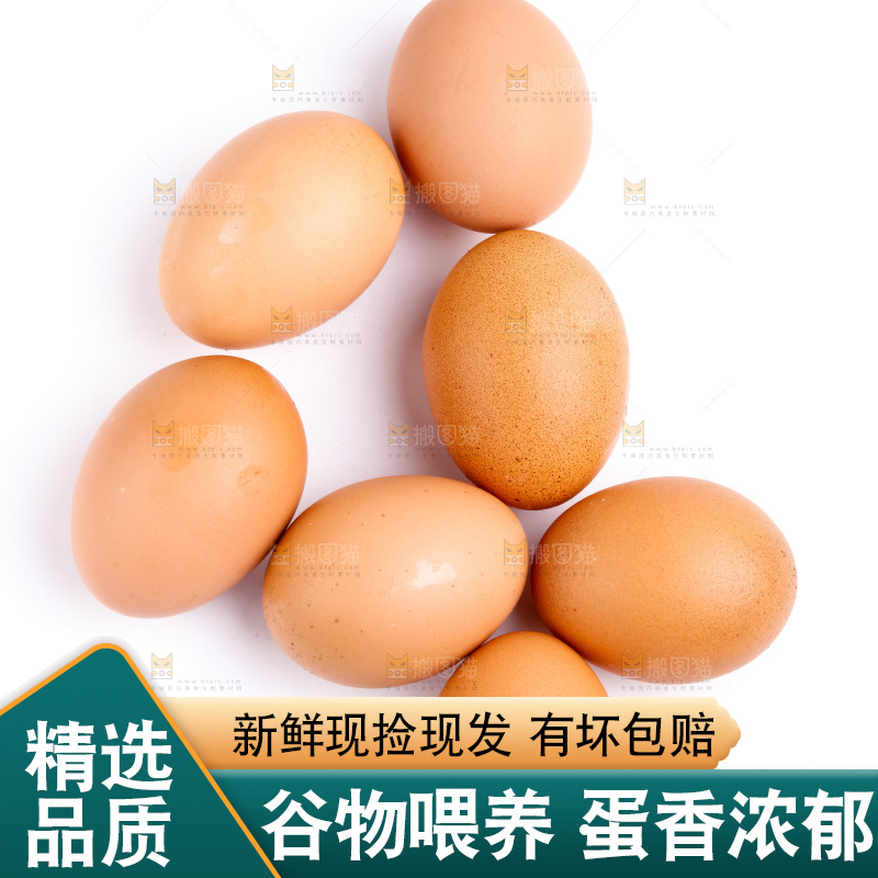 白底上放着散养鸡蛋