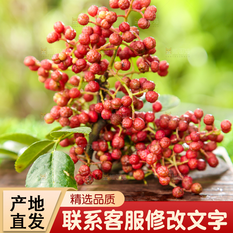 户外的红花椒
