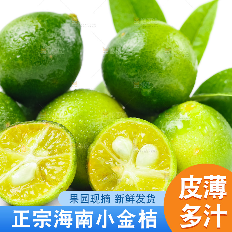 浅底上摆放着小金桔