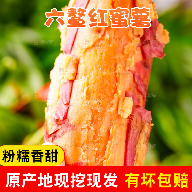 手里拿着红蜜薯