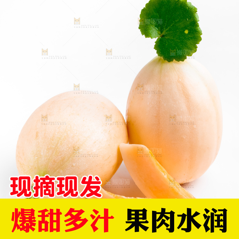 山东东方蜜瓜放在白底上