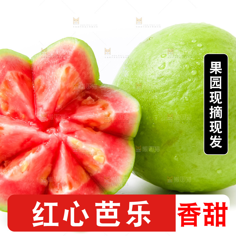 白底上放着广西红心芭乐