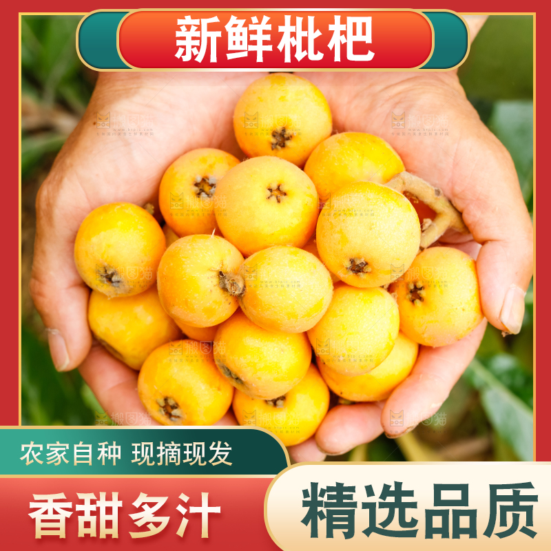 手里捧着枇杷