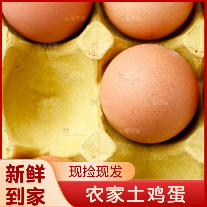 木底上放着新鲜鸡蛋