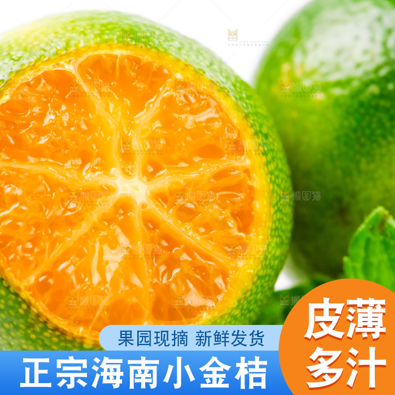 白底上放着小金桔