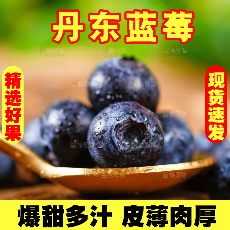 勺子上放着蓝莓鲜果