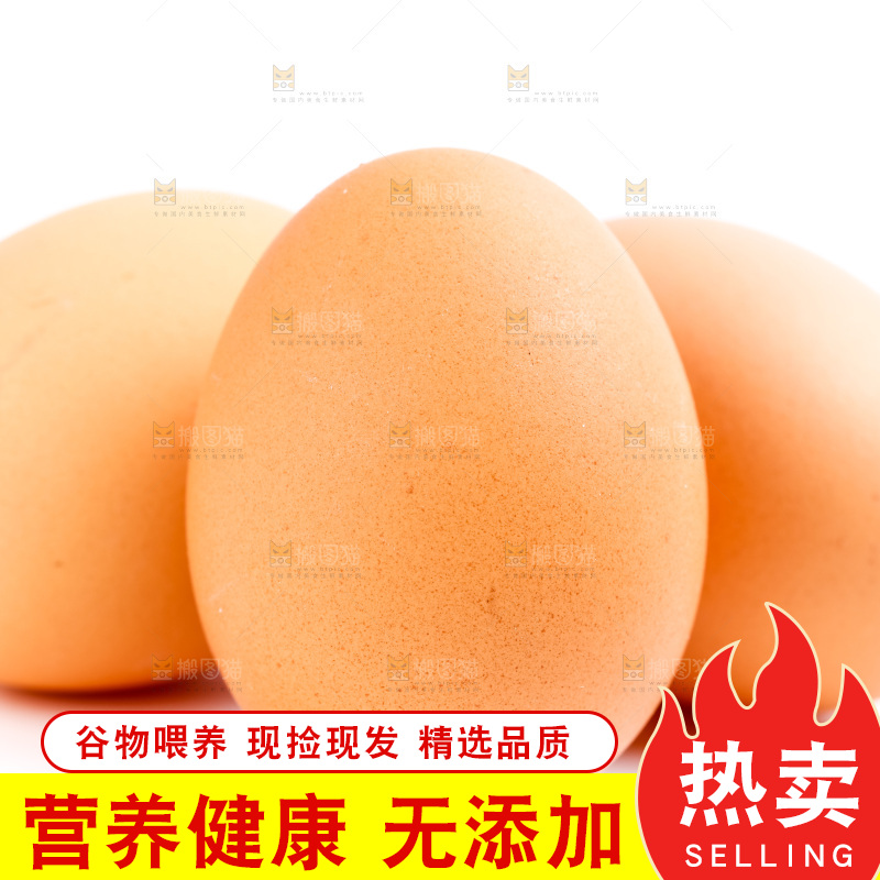 新鲜土鸡蛋放在白底上