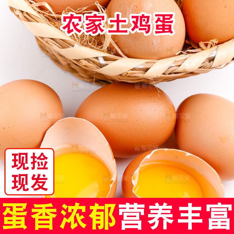 白底上放着散养鸡蛋