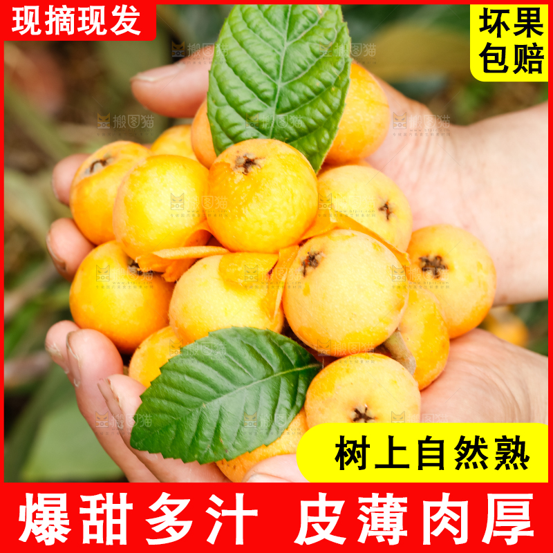 手里捧着枇杷