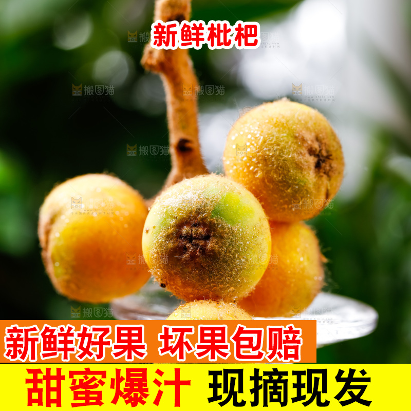 玻璃杯上放着枇杷