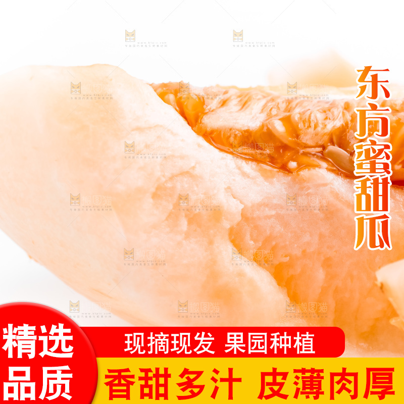 山东东方蜜瓜放在白底上