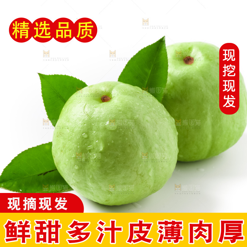 白底上放着红心芭乐