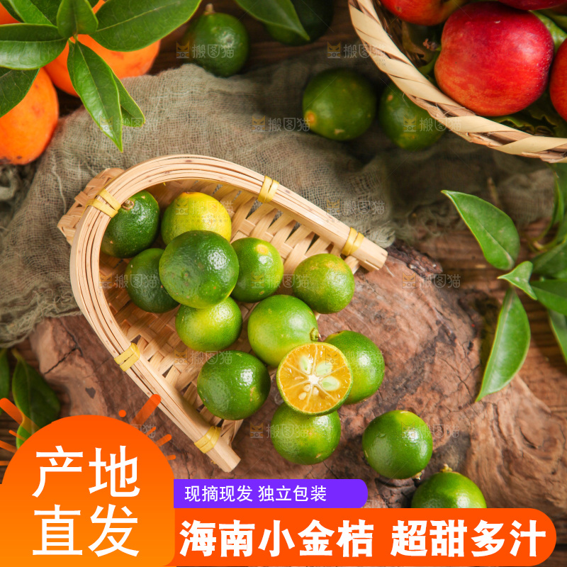 篮子里装着小金桔