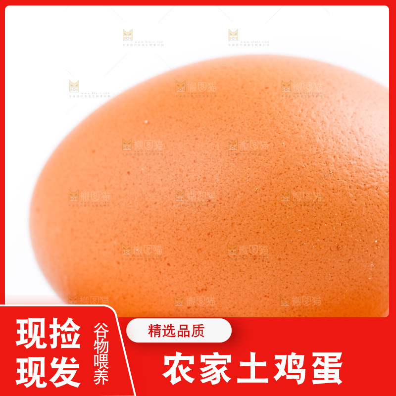 新鲜土鸡蛋放在白底上