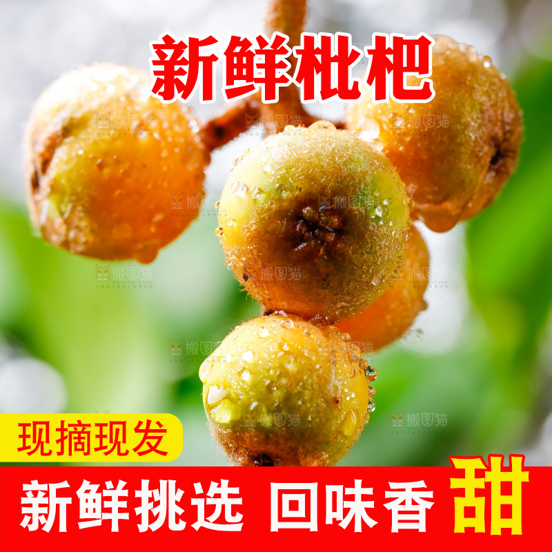 手里拿着新鲜枇杷