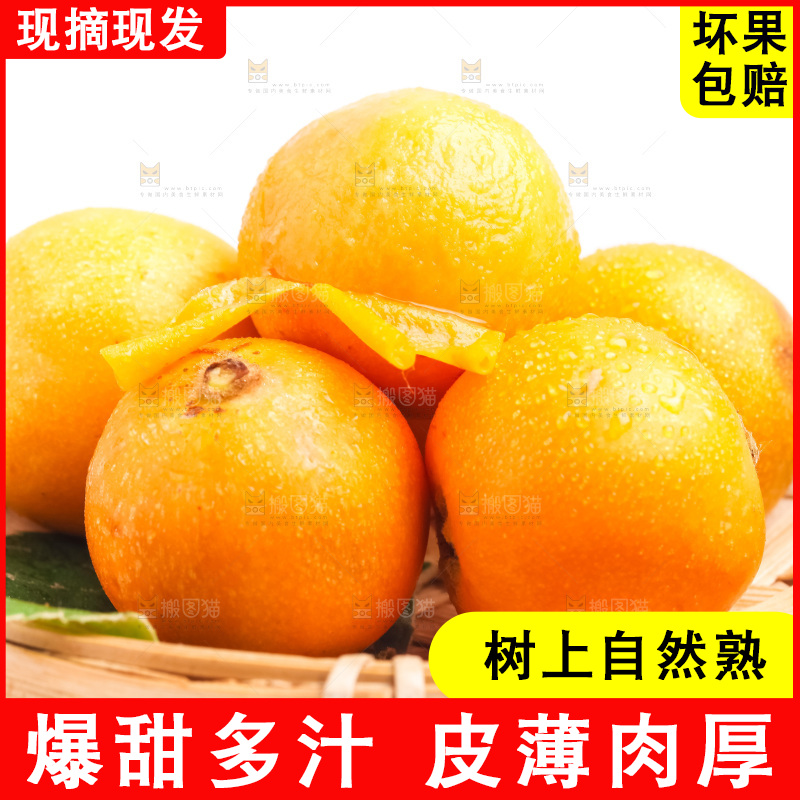 篮子里装着新鲜枇杷