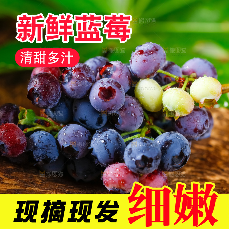 深底上摆放着蓝莓
