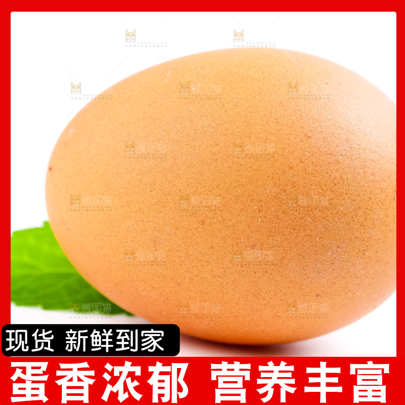 新鲜土鸡蛋放在白底上