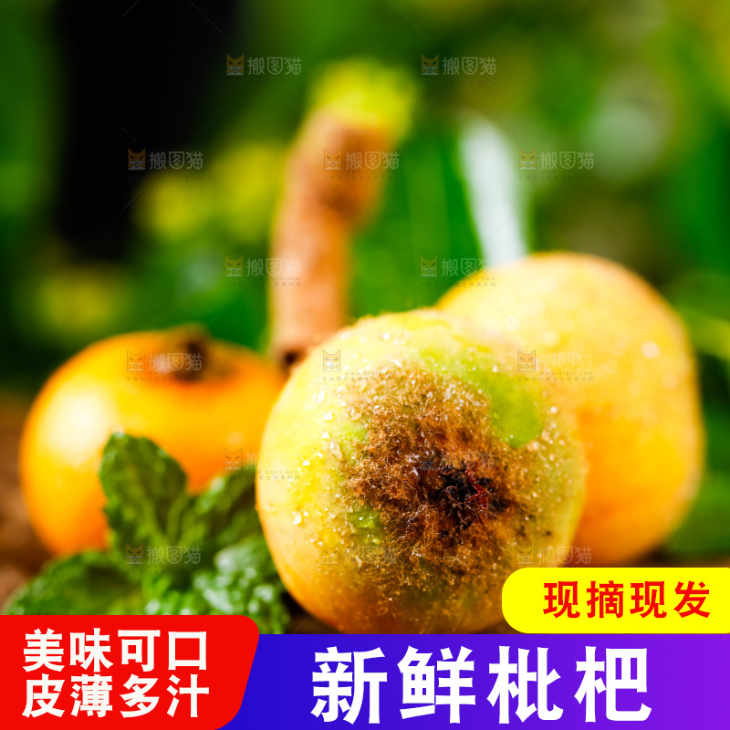 深底上放着枇杷果