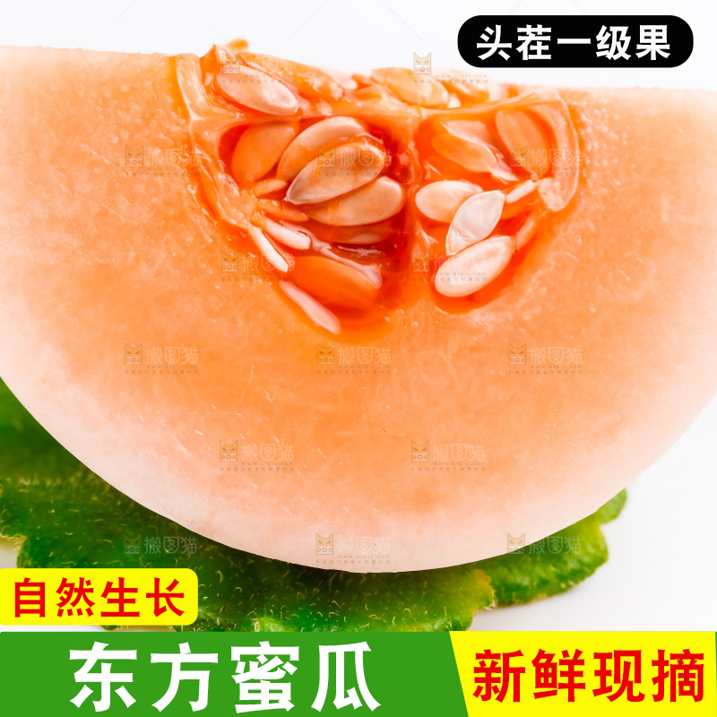 白底上放着东方蜜瓜